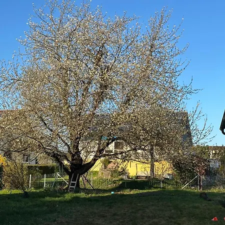 Διαμέρισμα Gesamte - Wohlfuehloase In Stadtnaehe *